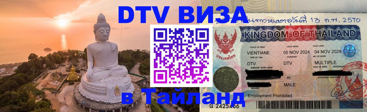 Сколько стоит DTV виза — актуальные цены, оформление даже без документов - Тирана  19.11.2025 