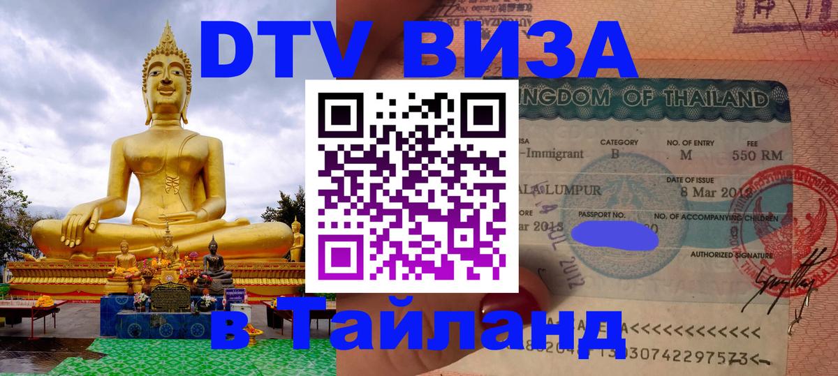Оформление DTV визы под ключ: стоимость и тарифы, только загранпаспорт - Тирана  05.10.2025 